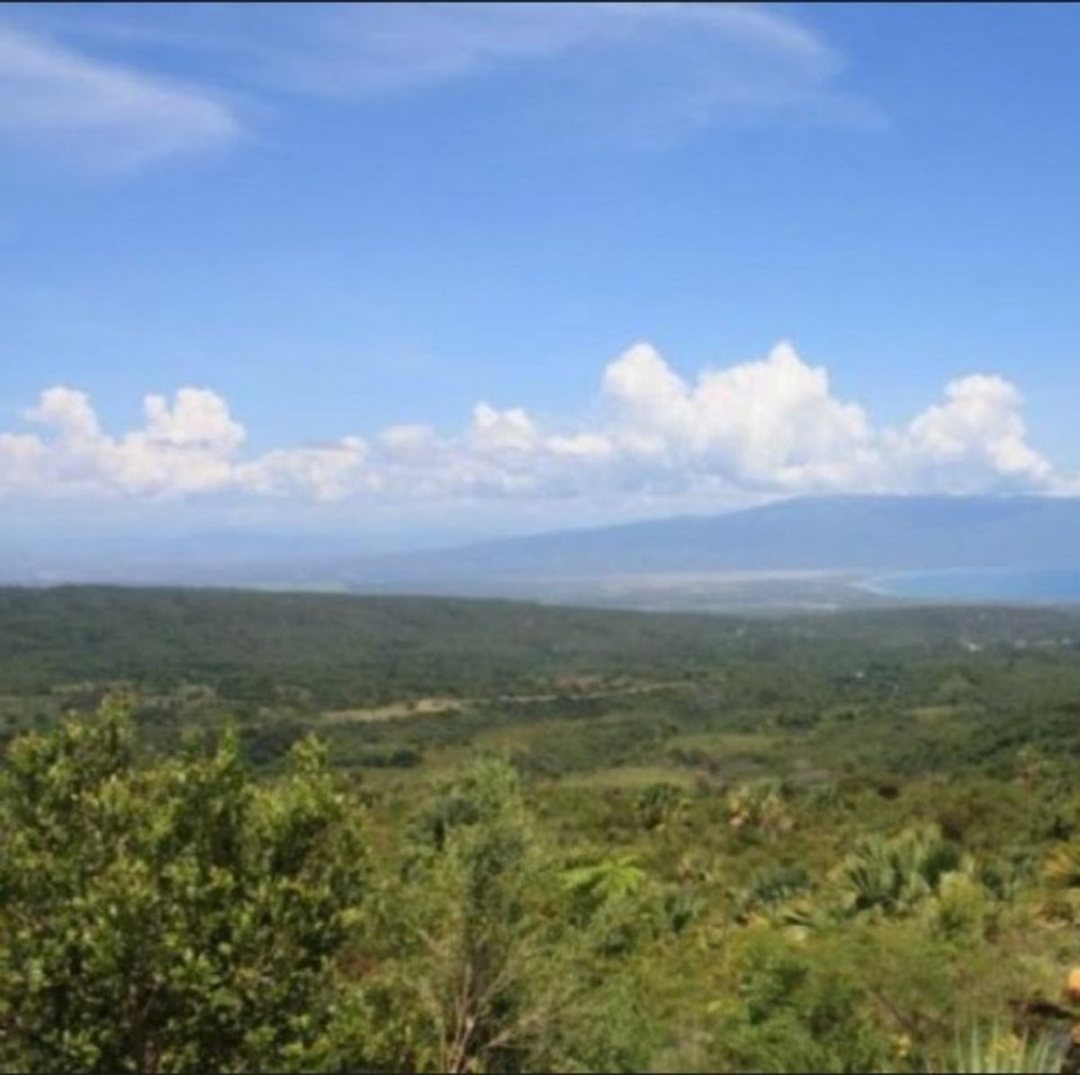 Solar en La Guázara, Barahona, foto 4