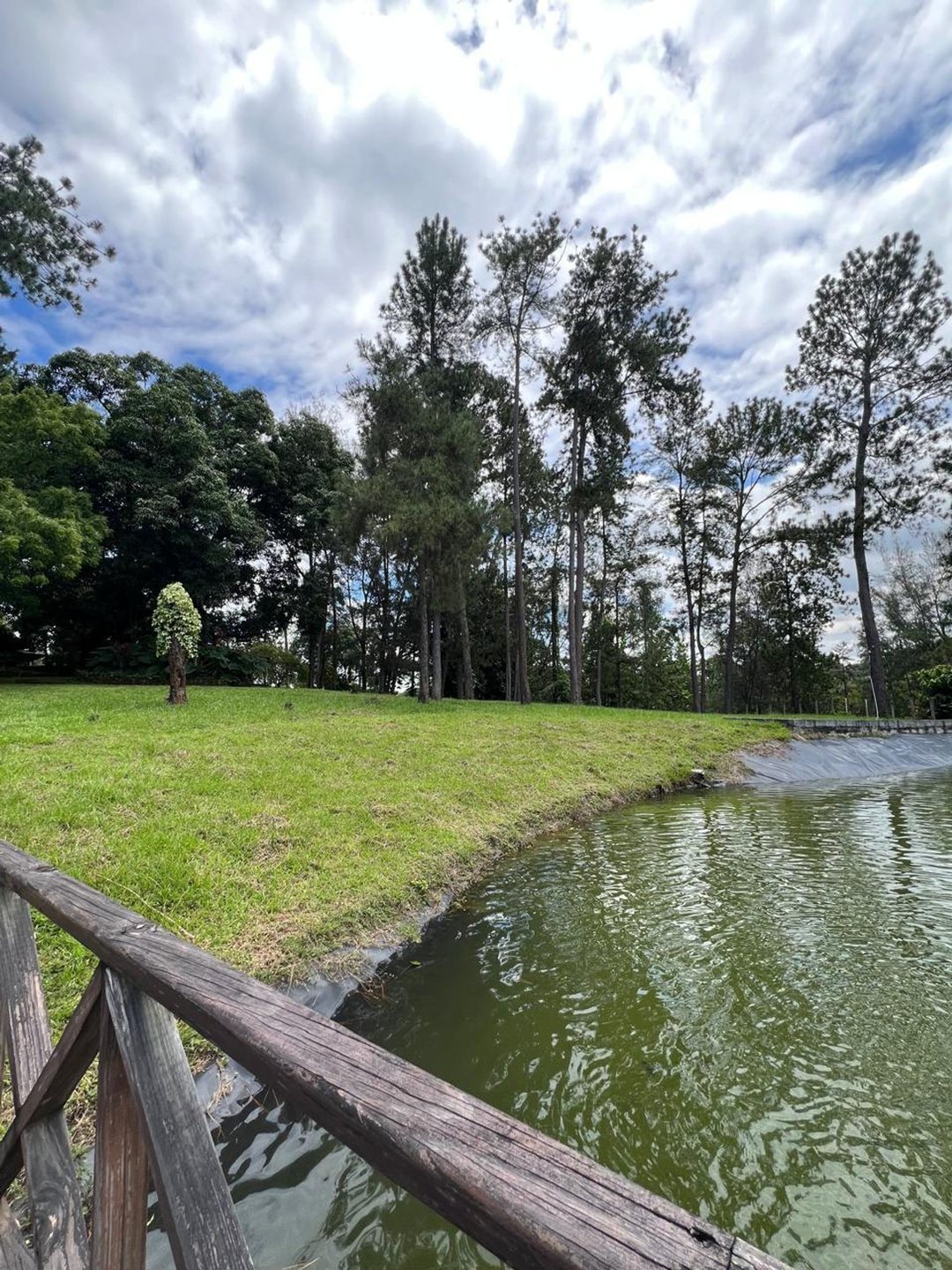 Solar en Villa Altagracia, foto 2