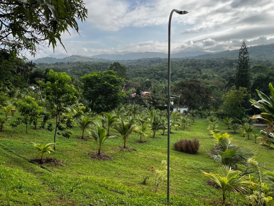 Lot in Villa Altagracia