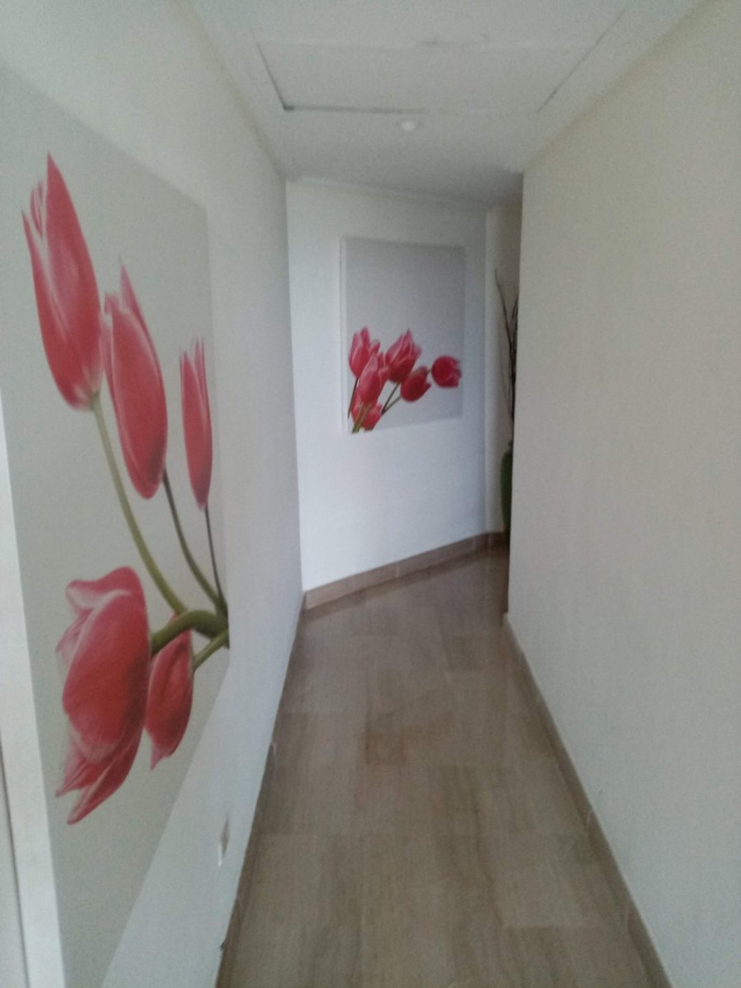Apartamento en Zona Universitaria, foto 5