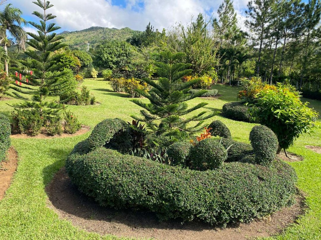 Solar en VILLA ALTAGRACIA, foto 2
