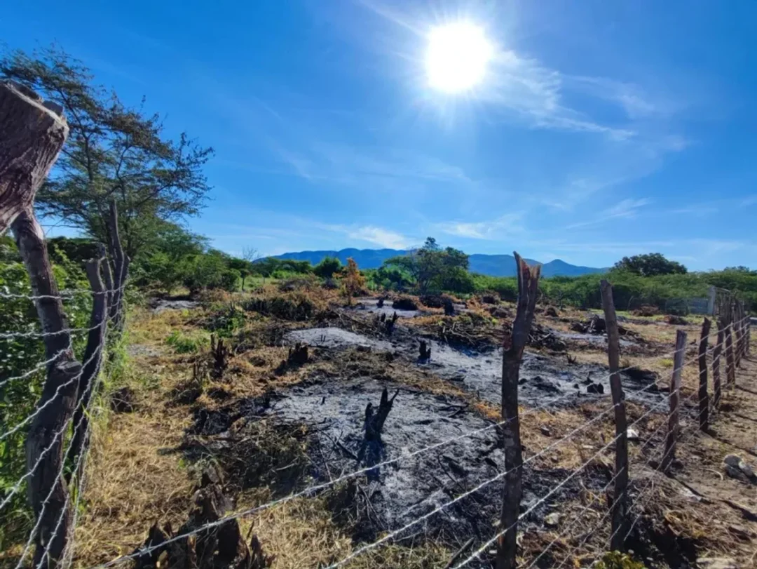 Solar en Palmar de Ocoa, foto 2