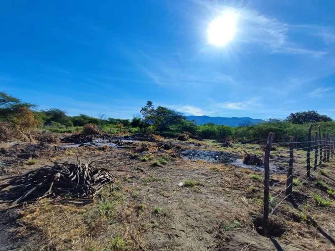Solar en Palmar de Ocoa, foto 5