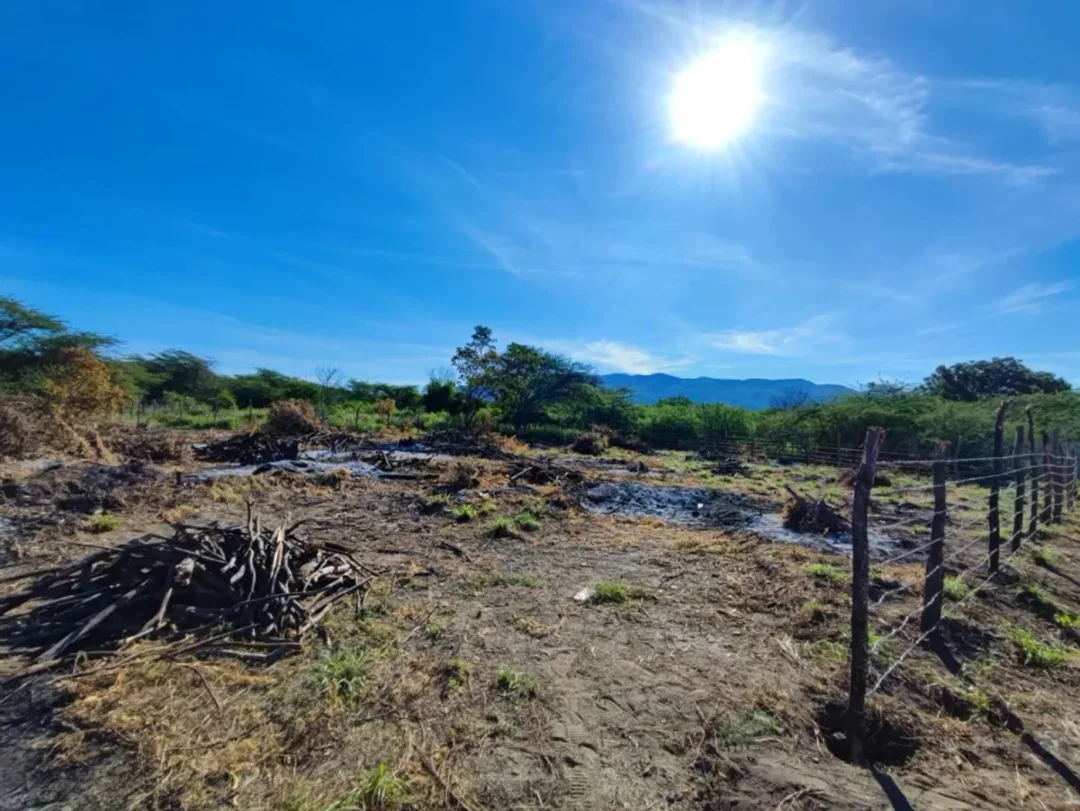 Solar en Palmar de Ocoa, foto 4
