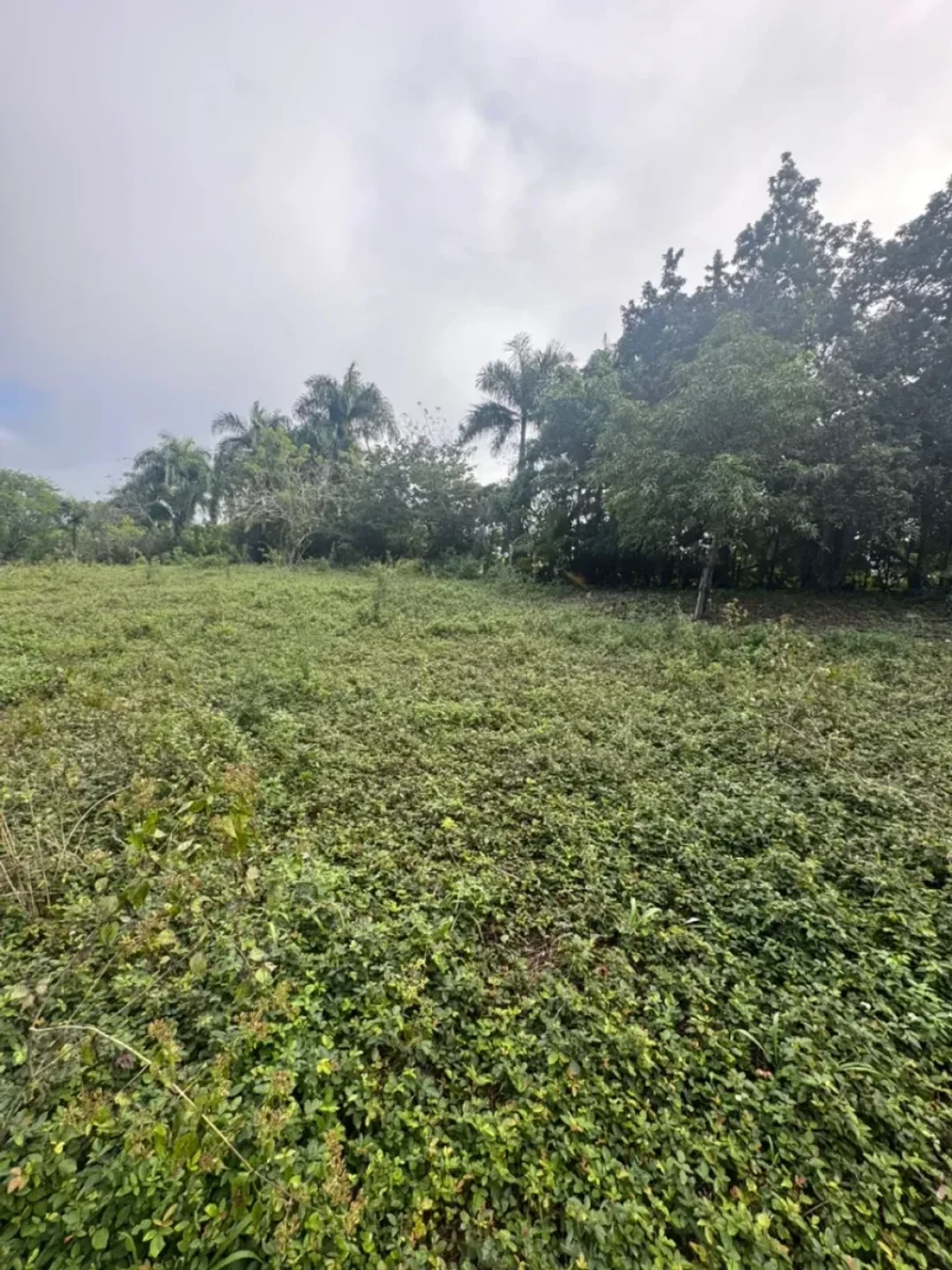 Lot in Villa Mella