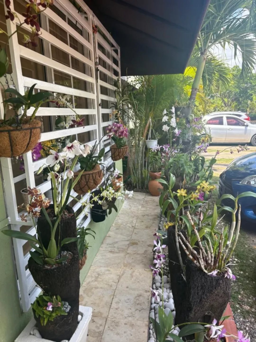 Apartamento en San Isidro, foto 5