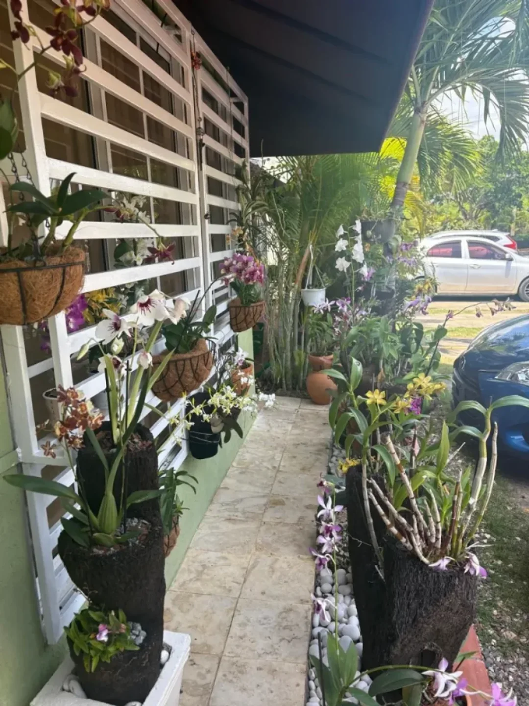 Apartamento en San Isidro, foto 4