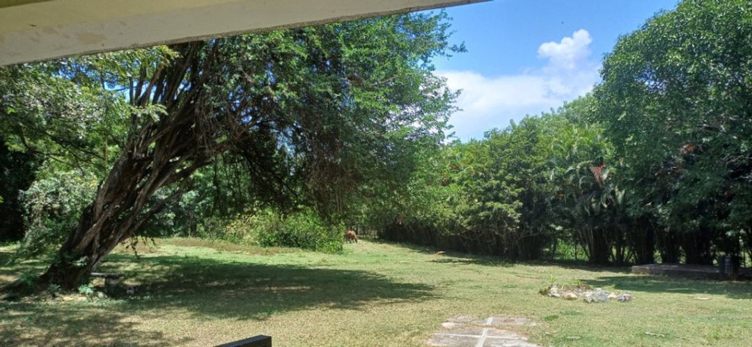 Solar en Hatillo, San Cristóbal, foto 2