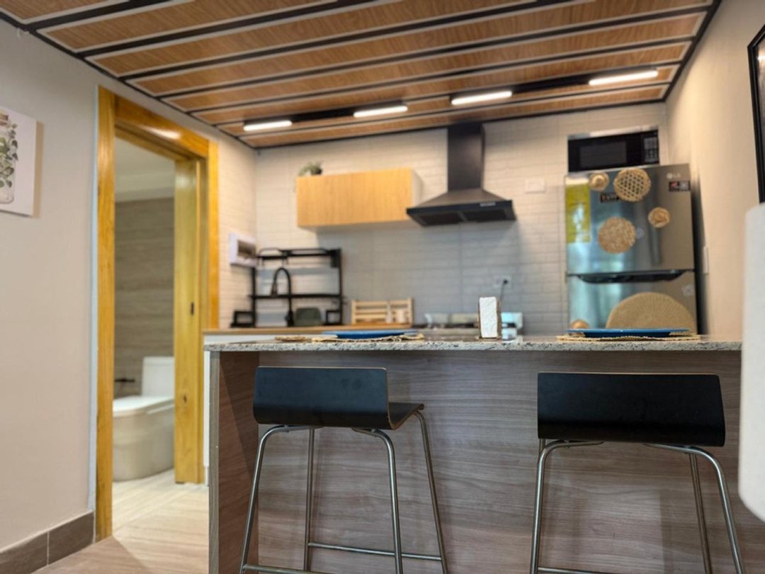 Apartamento en Cap Cana, Ciudad Las Canas, foto 4