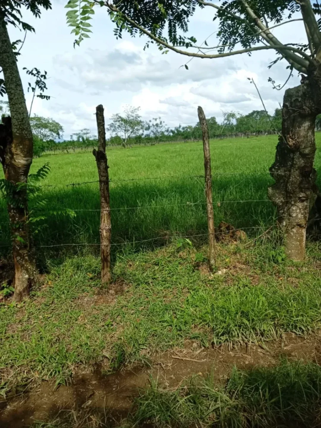 Solar en Hacienda Estrella, foto 2