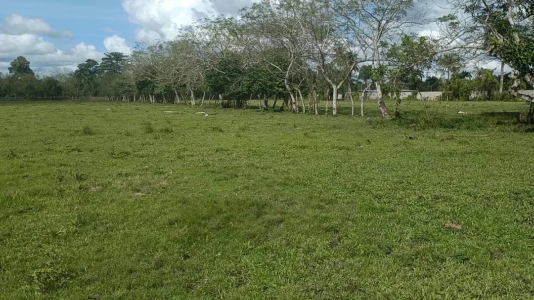 Solar en Haras Nacionales, foto 4