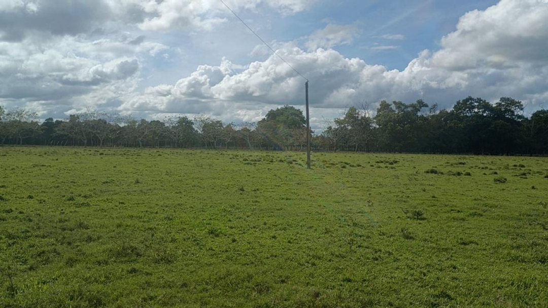 Lot in Haras Nacionales