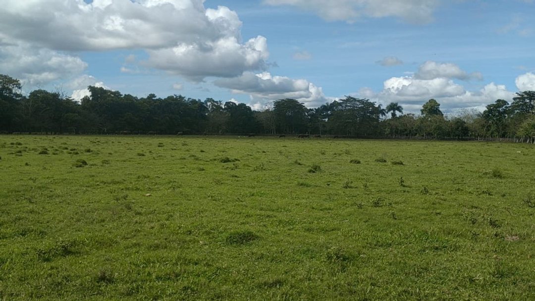 Solar en Haras Nacionales, foto 2