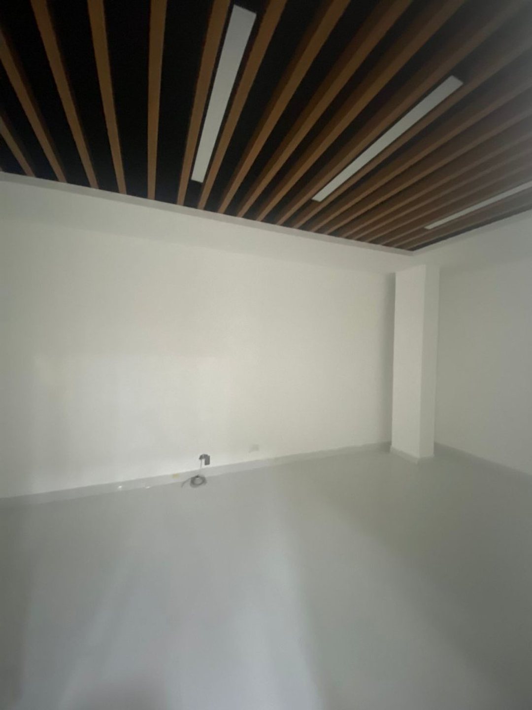 Local comercial en Villa Consuelo, foto 3