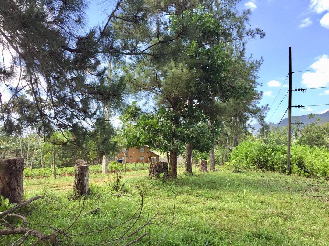 Solar en Villa Altagracia, foto 3