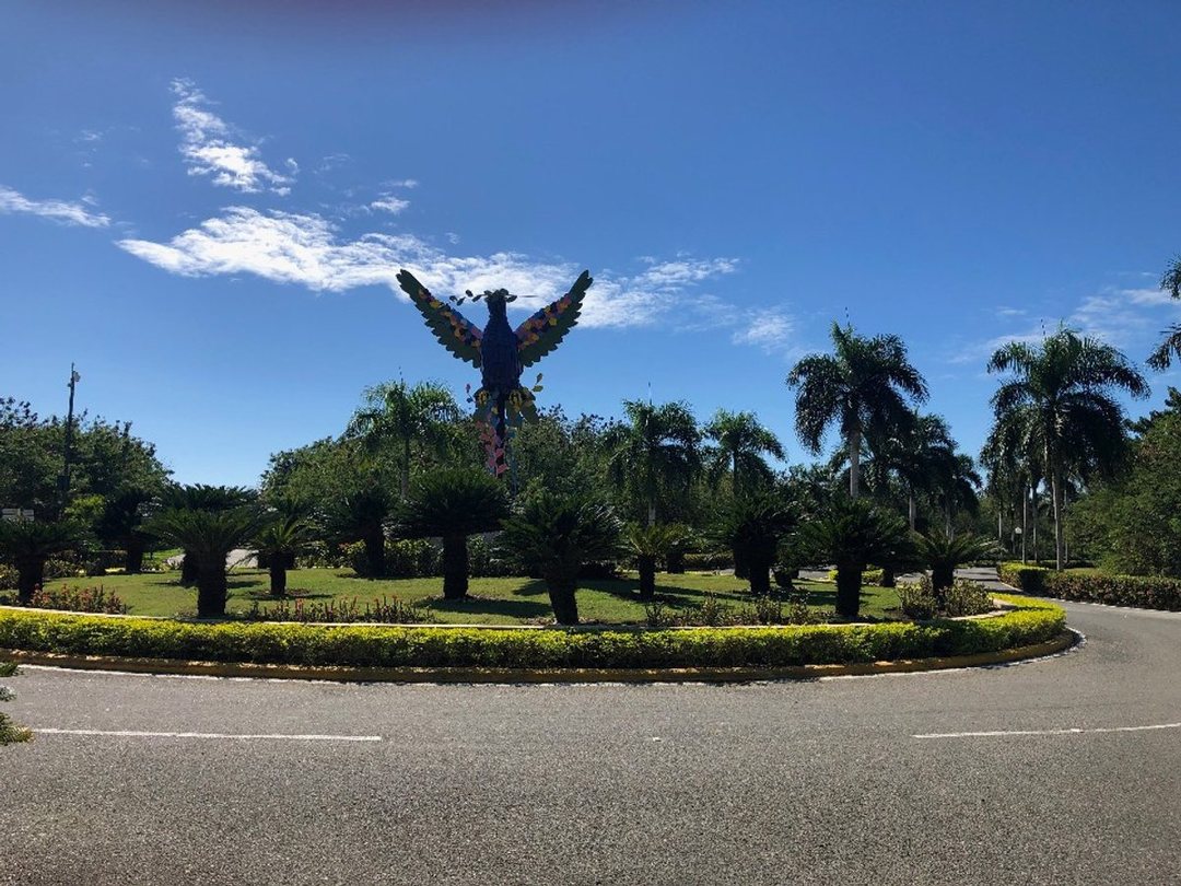 Solar en Playa Nueva Romana, foto 5