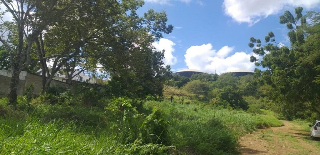 Solar en Centro de la Ciudad, foto 3