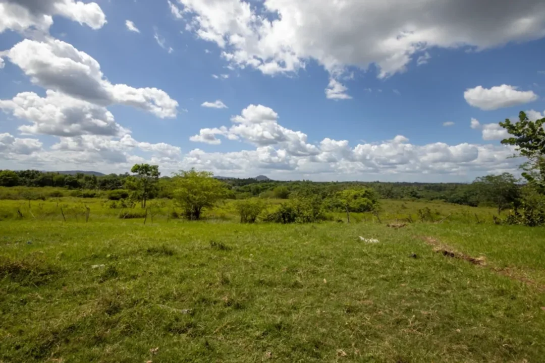 Lot in Villa Mella