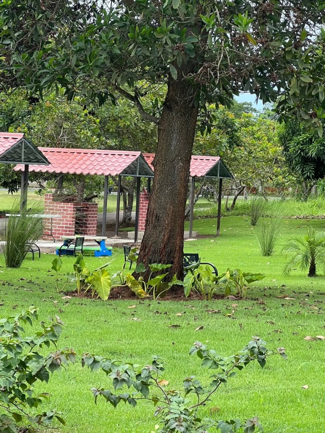 Solar en Santo Domingo Este, San Antonio, foto 3