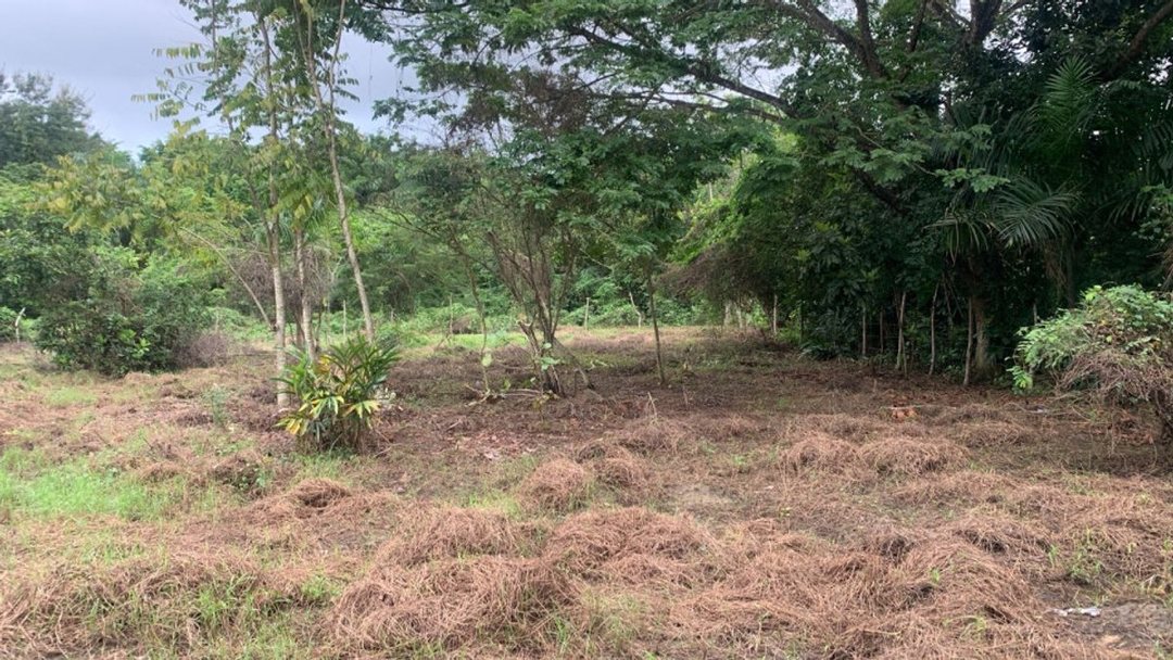 Lot in El Cabreto