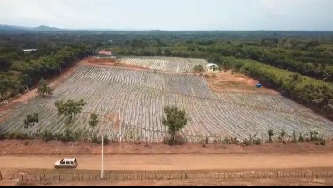 Solar en Los Guayuyos, foto 2