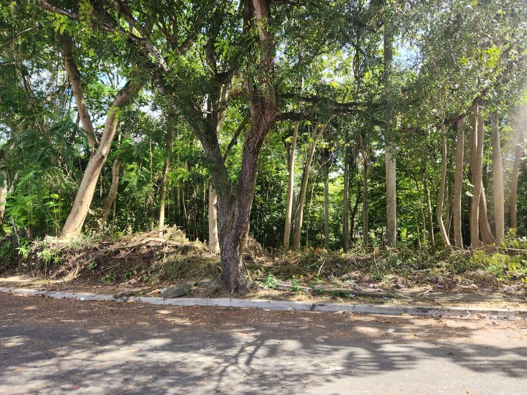 Lot in Cuesta Brava