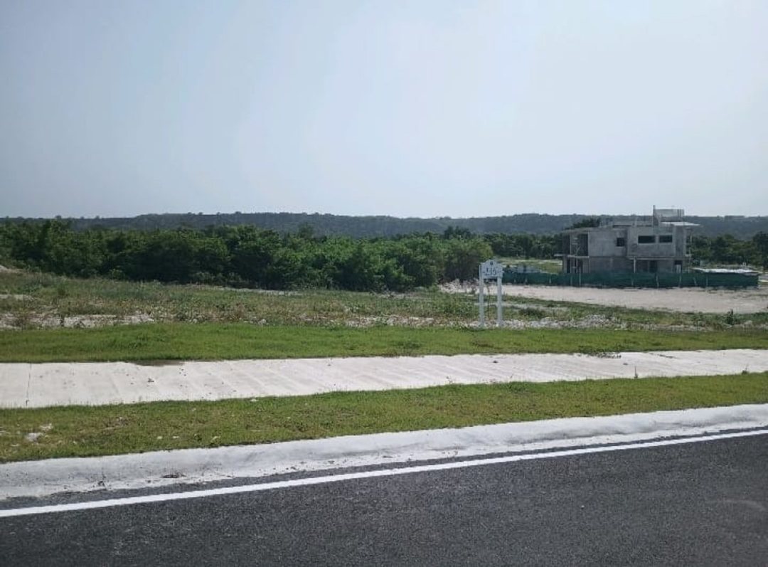 Lot in Cap Cana