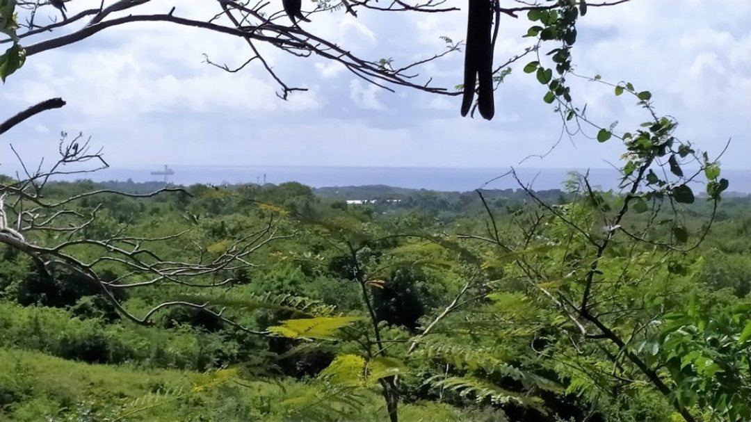 Solar en Nigua Norte I, foto 3