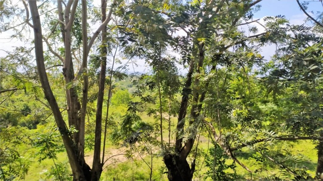 Solar en Nigua Norte I, foto 5