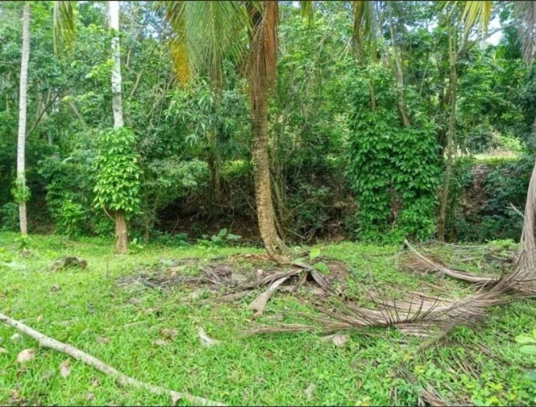 Solar en Hato Damas, foto 2