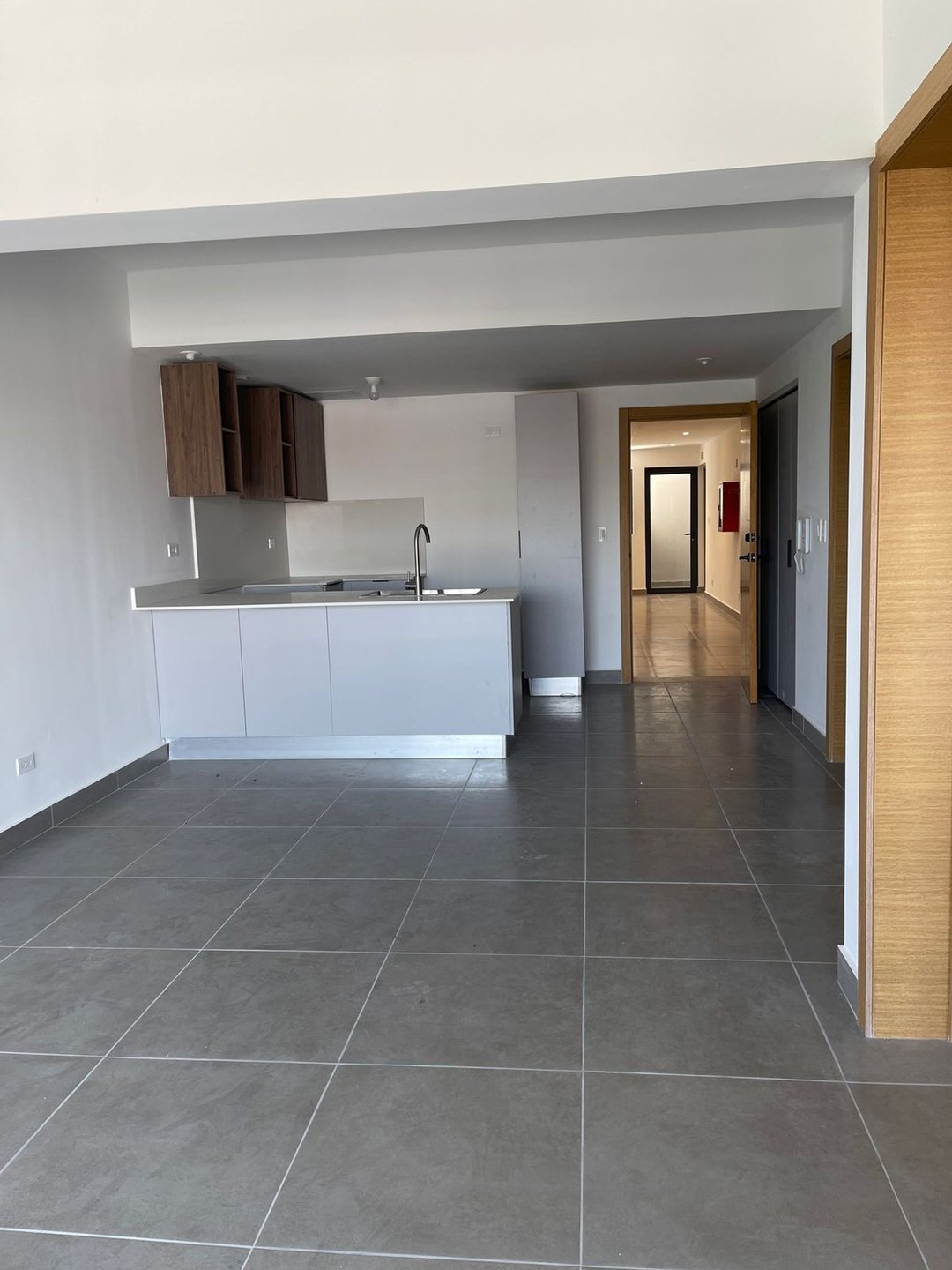 Apartamento en Gazcue, foto 3