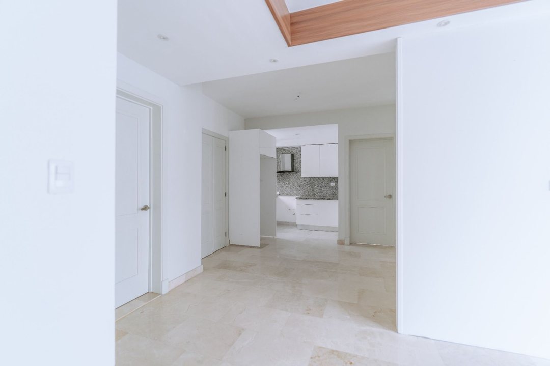 Apartment in Ensanche Naco