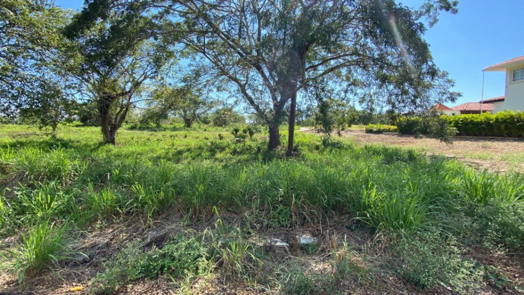 Terreno en San Pedro De Macorís (Cabecera), Guavaberry