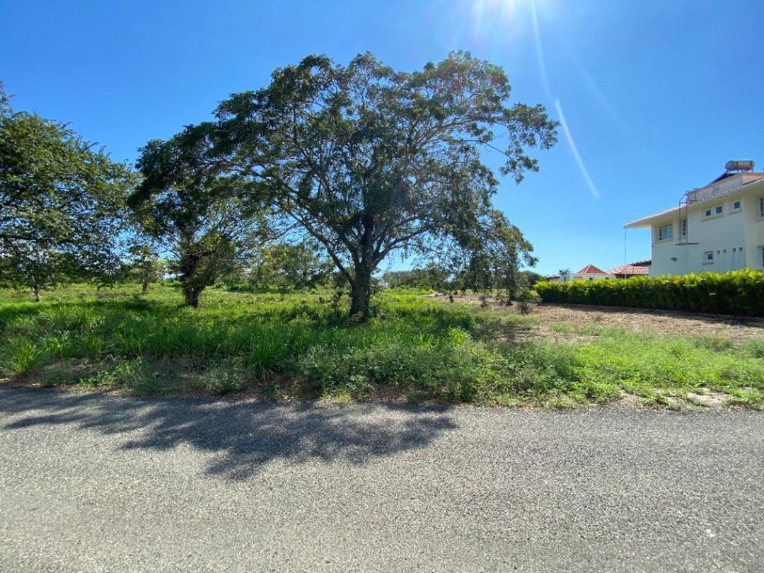 Terreno en San Pedro De Macorís (Cabecera), Guavaberry