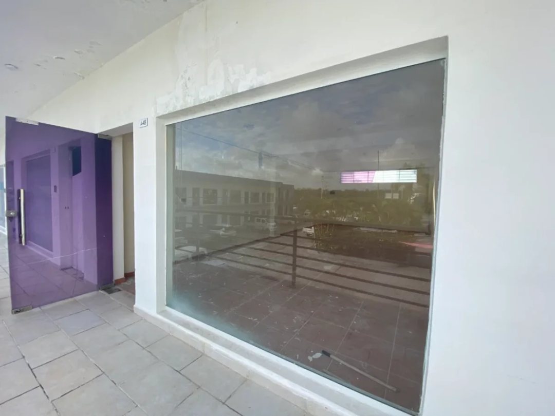 Local comercial en Plaza, foto 3