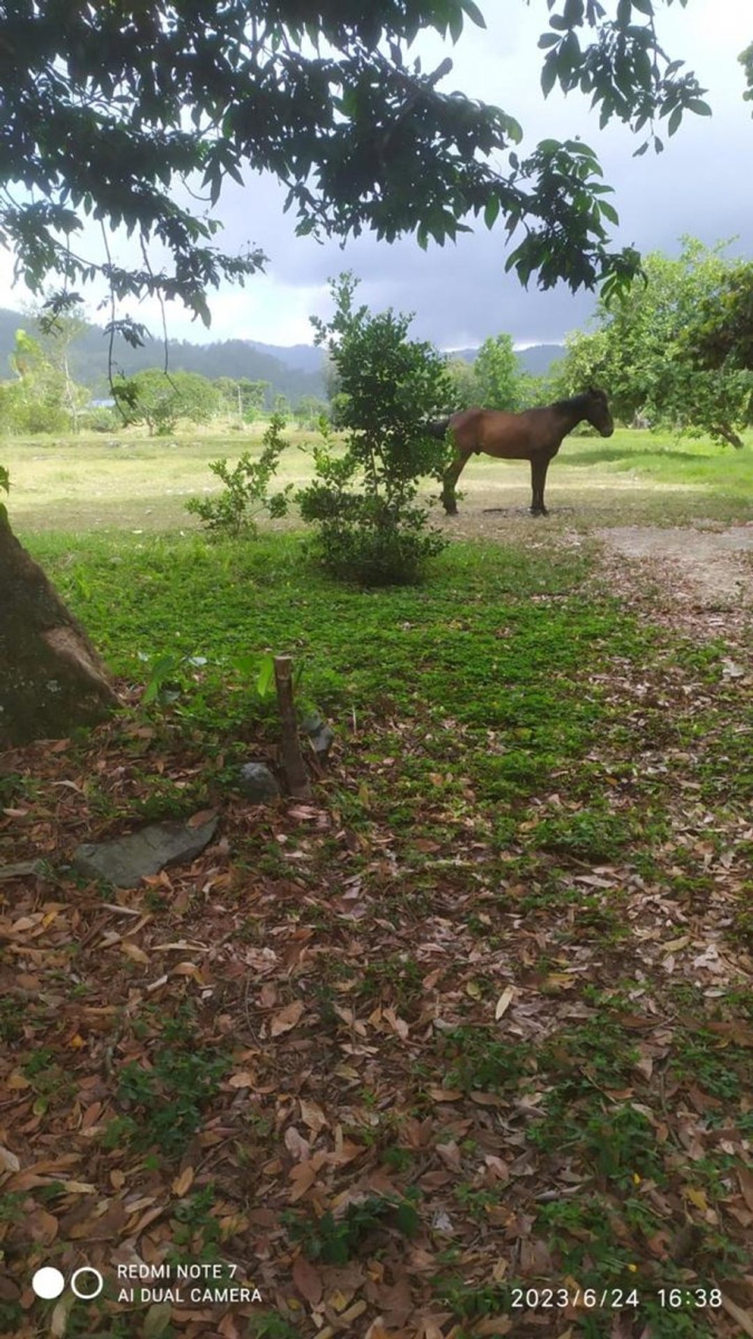 Lot in La Vega