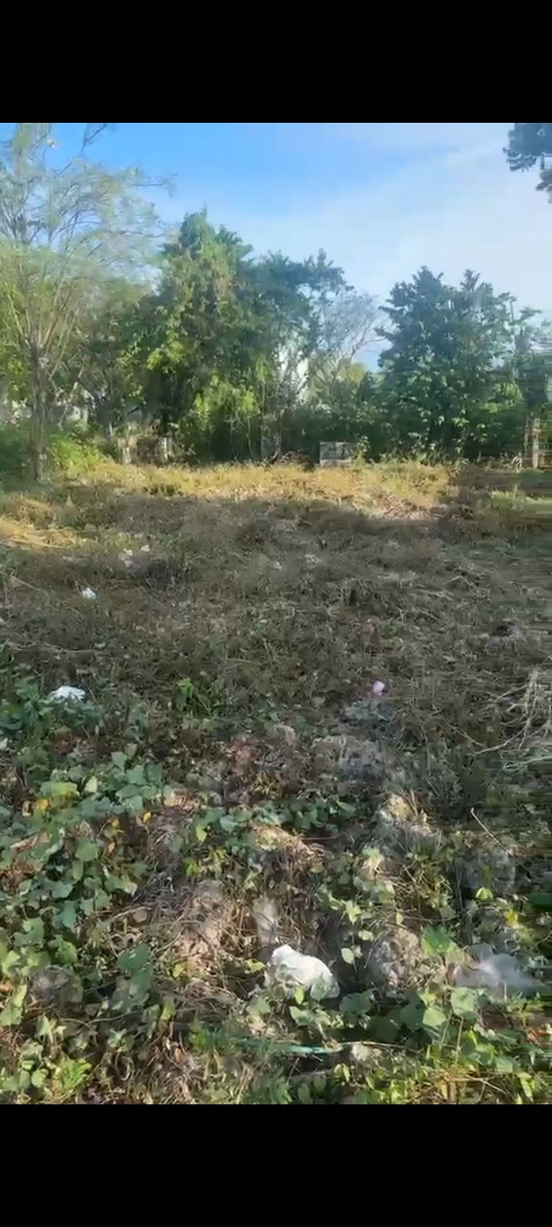 Solar en Av. Ecológica