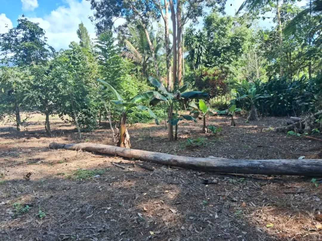 Solar en Villa Altagracia, foto 5