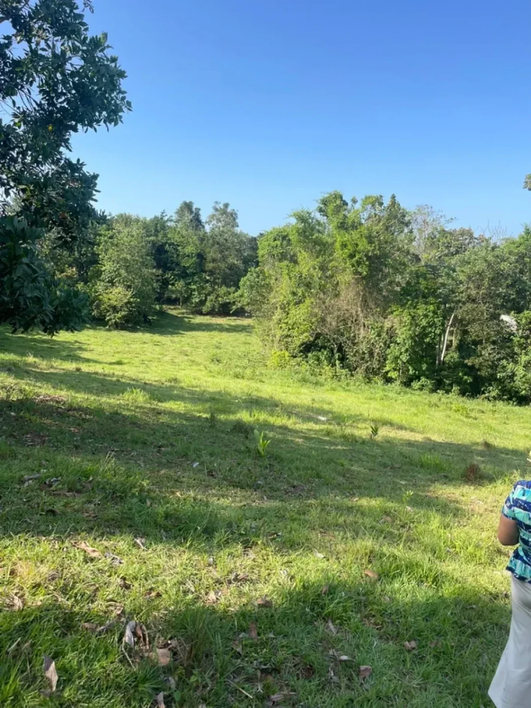 Lot in Los Mogotes