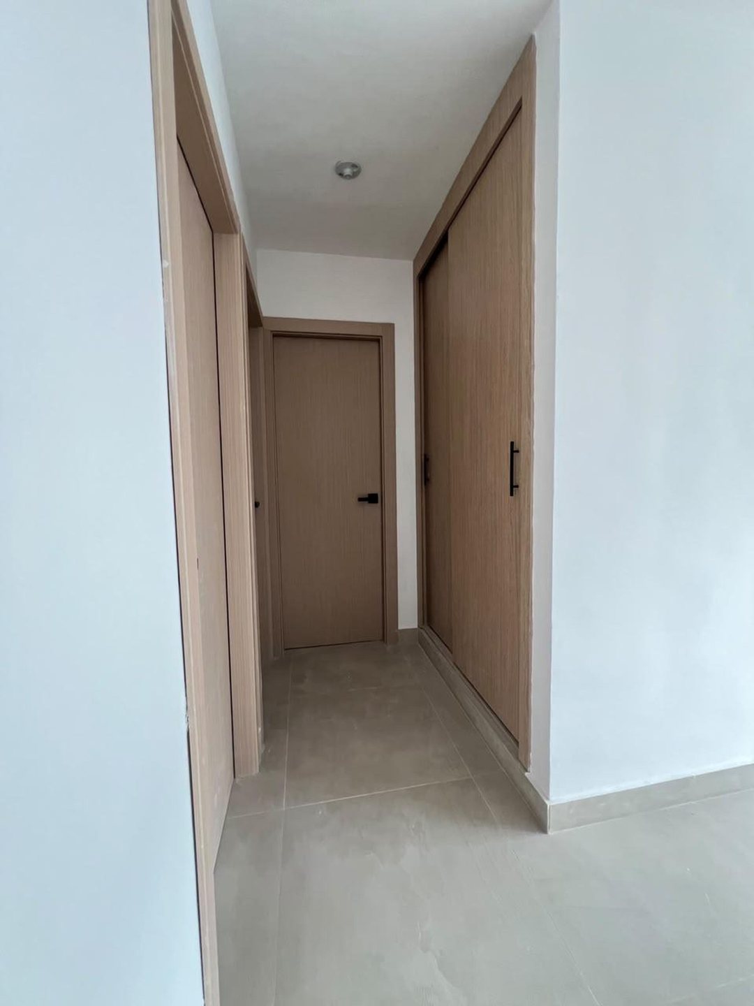 Apartamento en Villa Naco, foto 4