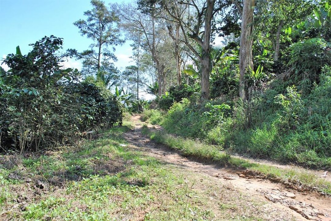 Solar en Constanza, La Descubierta, foto 5