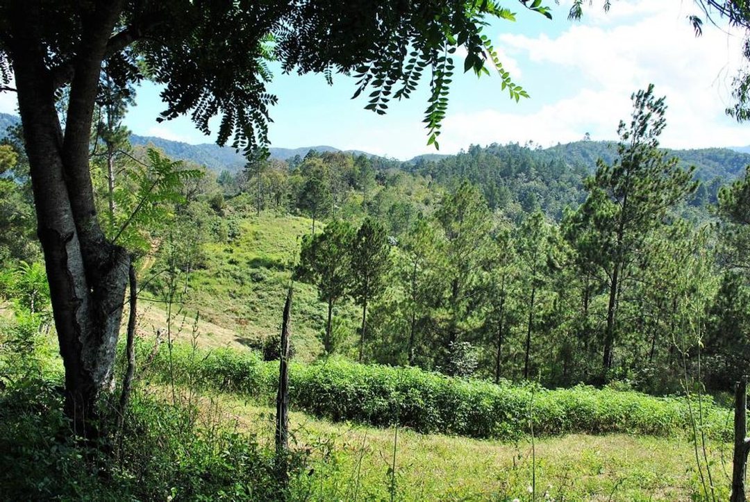 Solar en Constanza, La Descubierta, foto 3