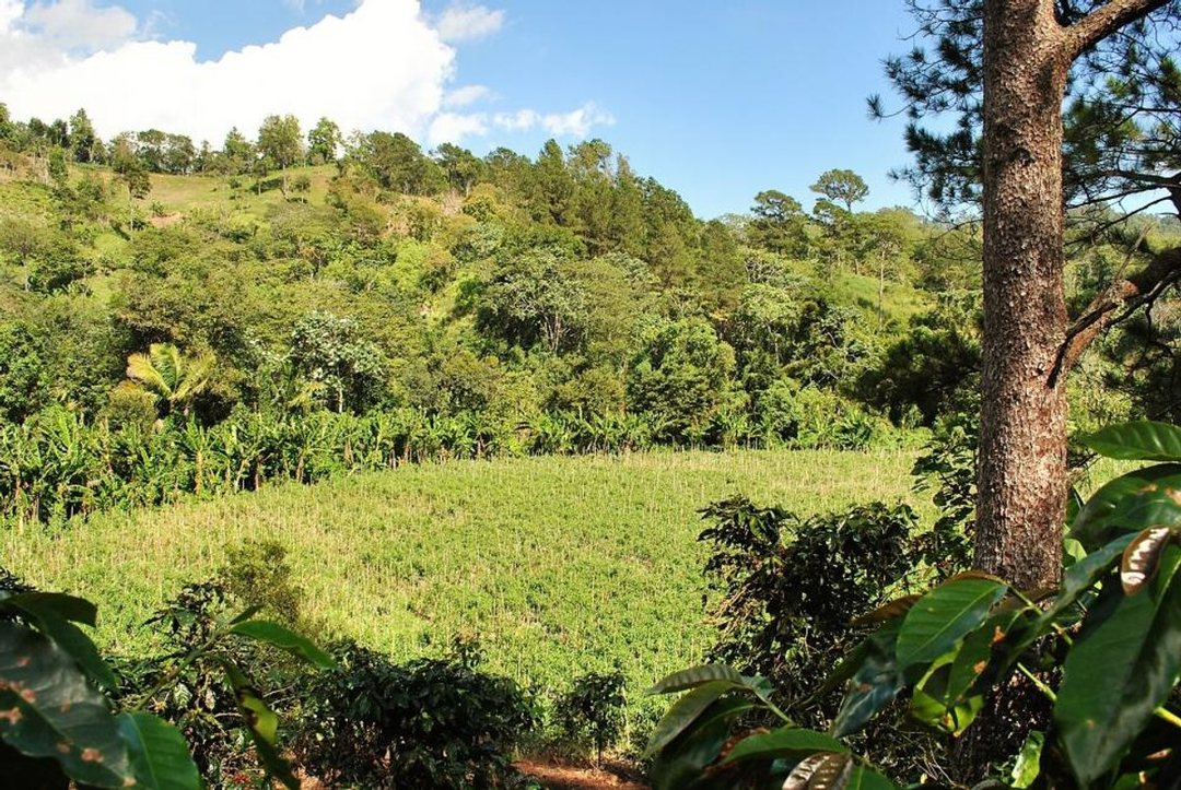 Solar en Constanza, La Descubierta, foto 2
