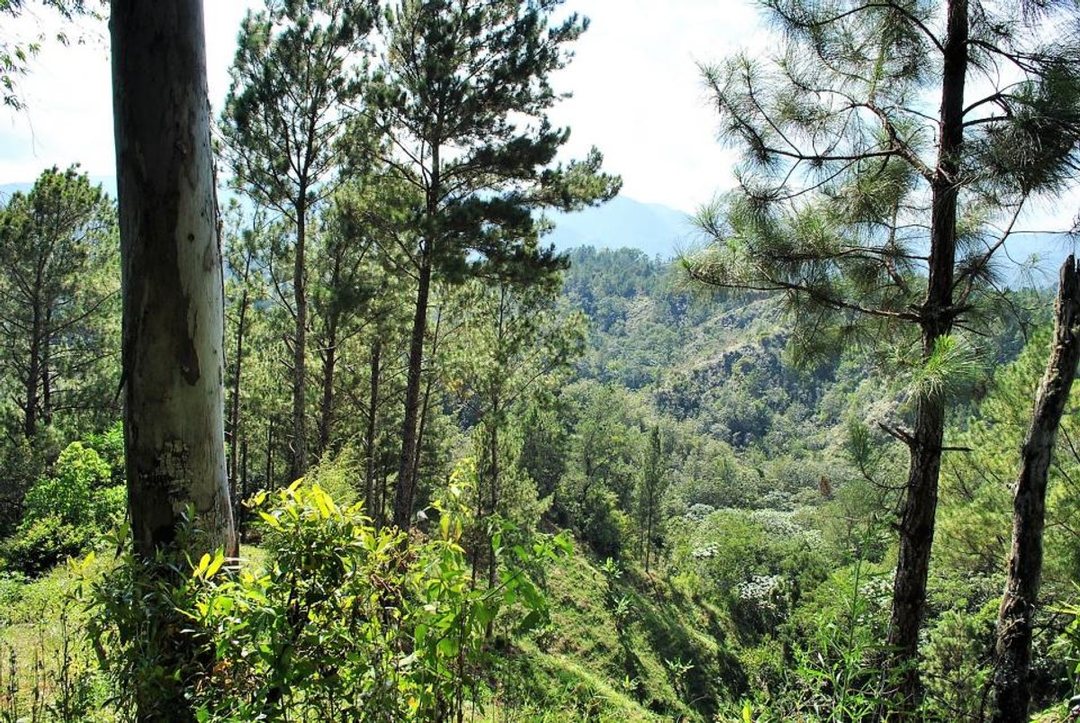 Solar en Constanza, La Descubierta, foto 4