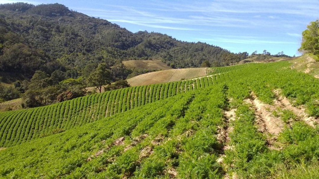 Solar en La Vega, foto 4