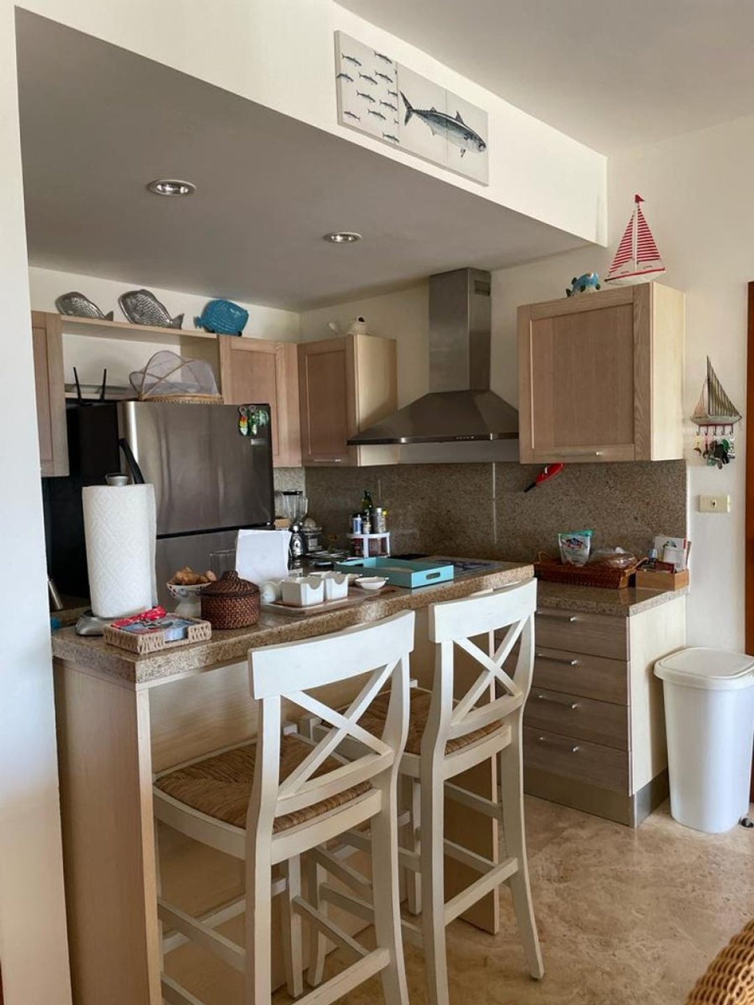 Apartamento en Las Terrenas, foto 4