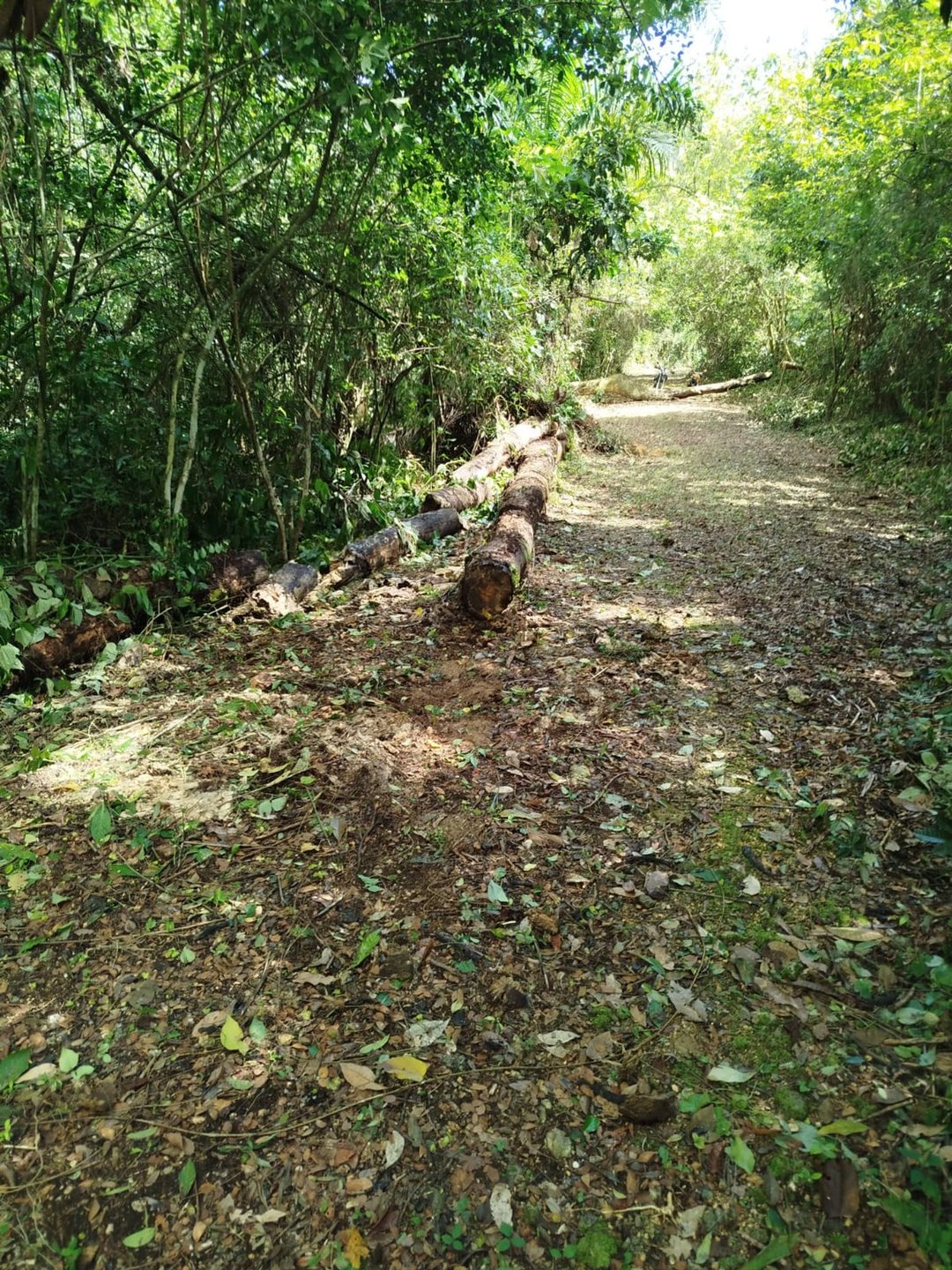 Solar en Las Terrenas, foto 2