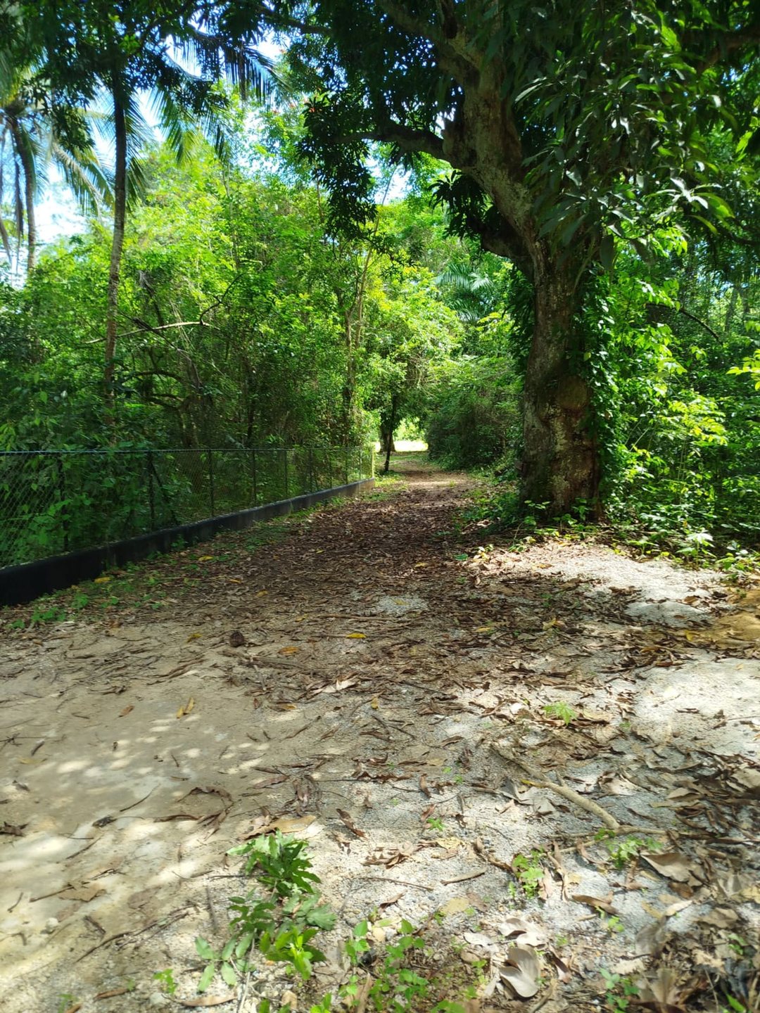 Lot in Las Terrenas