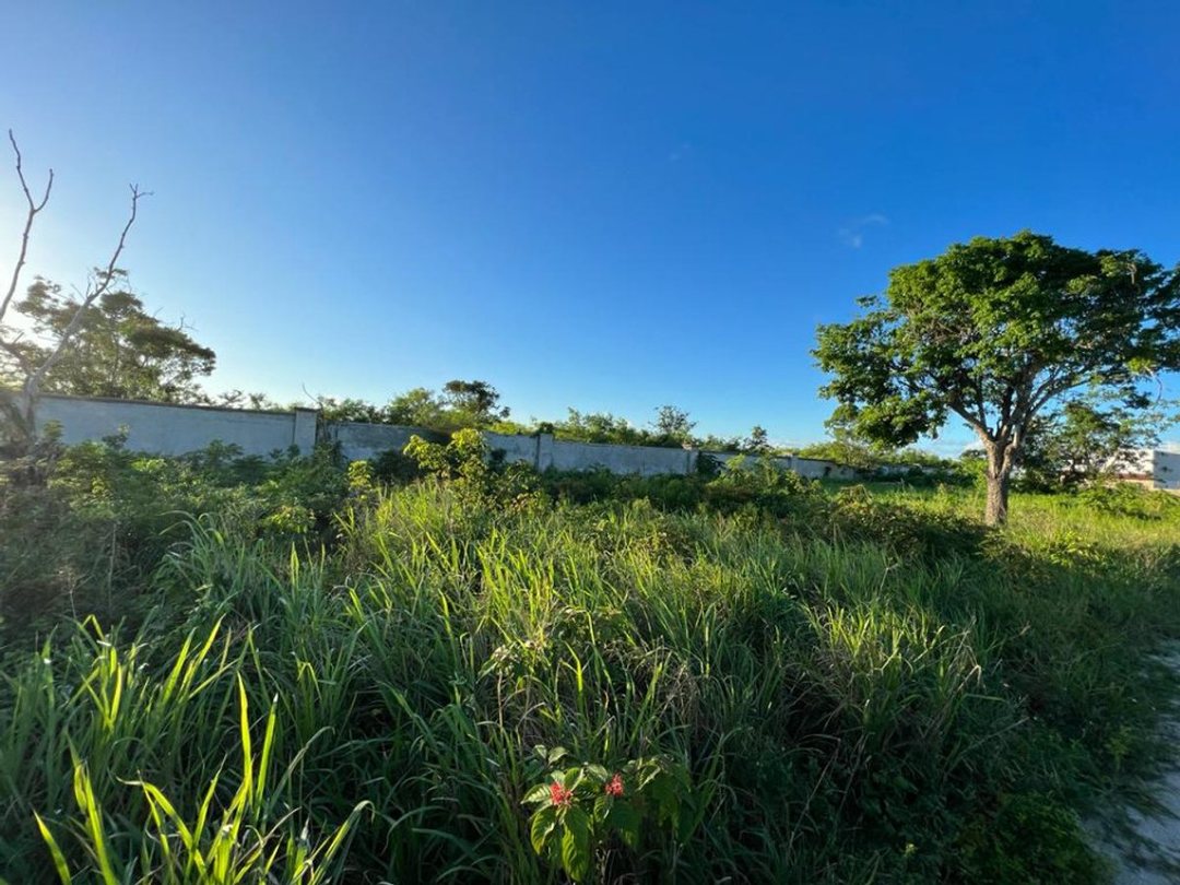 Solar en Residencial Bávaro-Punta Cana, foto 3