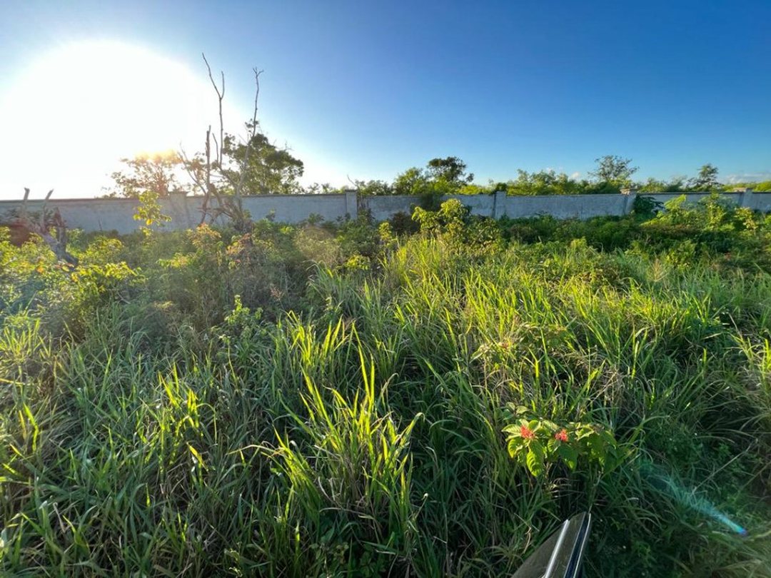 Solar en Residencial Bávaro-Punta Cana, foto 2